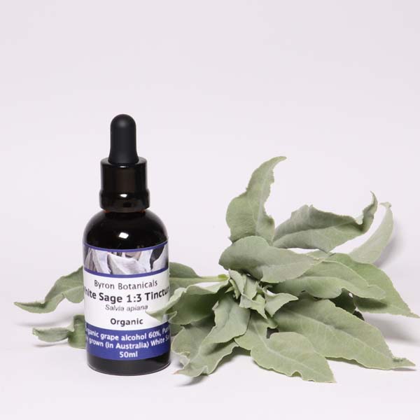 White Sage 13 Tincture 50ml Byron Botanicals